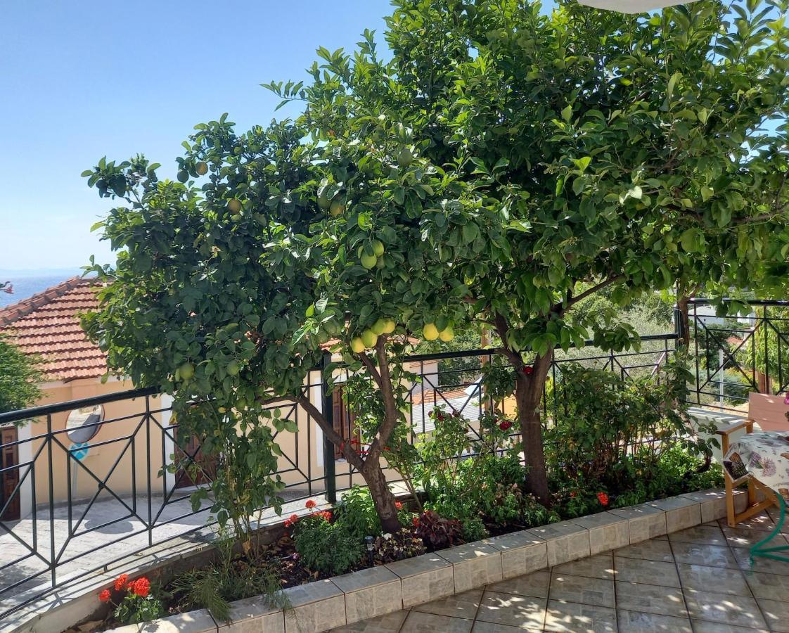 Πηλιο- Το Εξοχικο Τησ Αννασ- Αφησσοσ Villa อาฟิสโซส ภายนอก รูปภาพ