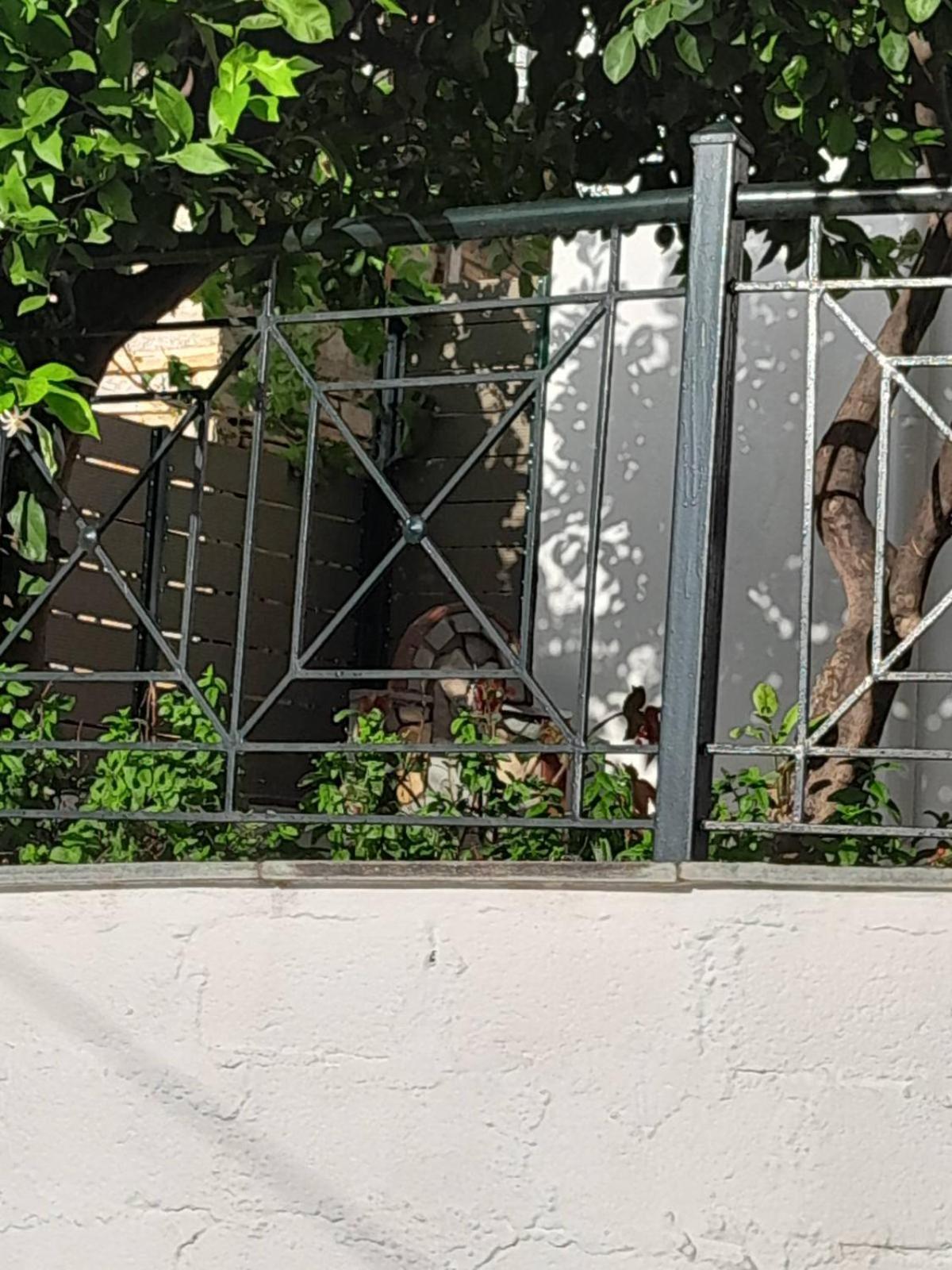 Πηλιο- Το Εξοχικο Τησ Αννασ- Αφησσοσ Villa อาฟิสโซส ภายนอก รูปภาพ